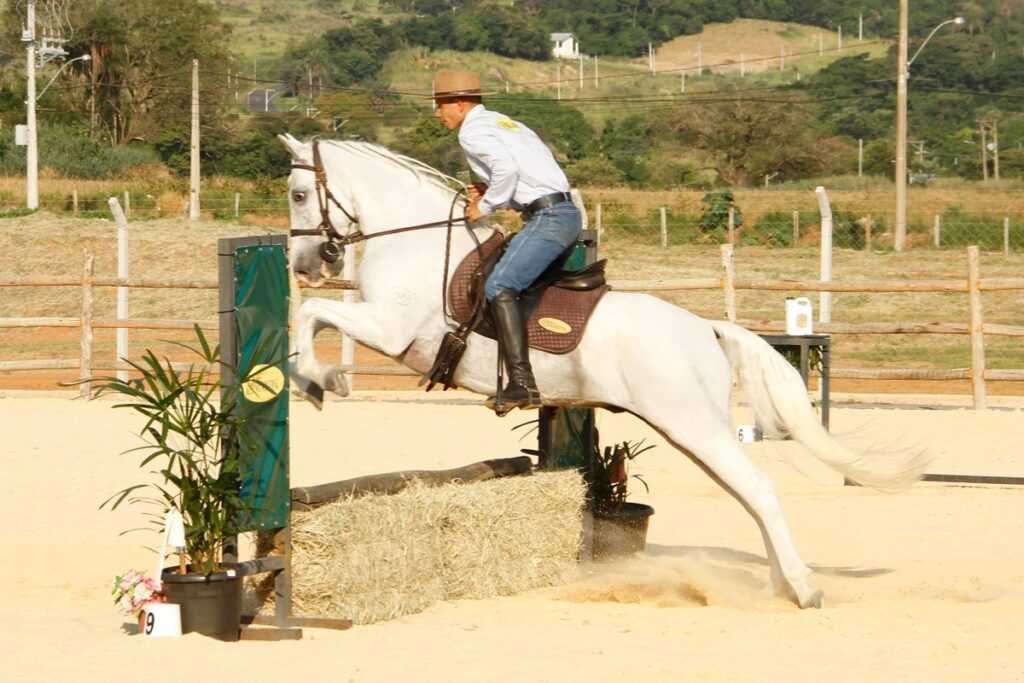 ‘CAPITAL NACIONAL DO CAVALO’, JAGUARIÚNA GANHA PRIMEIRO CENTRO DE EVENTOS EQUESTRES ‘capital-nacional-do-cavalo’,-jaguariuna-ganha-primeiro-centro-de-eventos-equestres