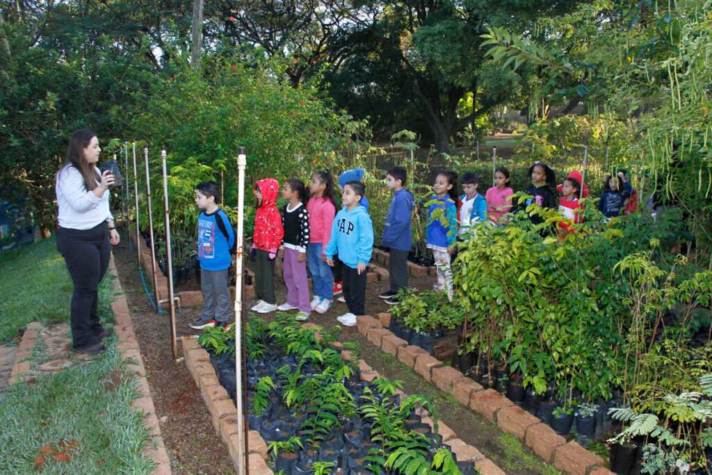 alunos-participam-de-atividade-ambiental-no-cema