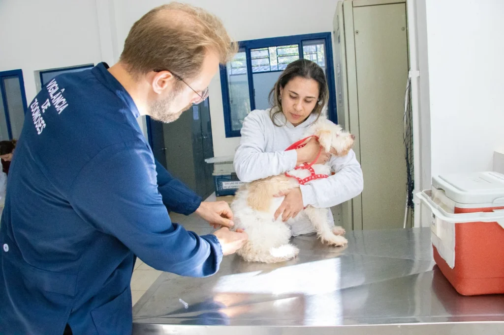 vacinacao-antirrabica-em-jaguariuna-e-realizada-na-sede-da-uvz