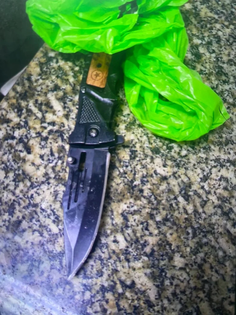 jovem-de-18-anos-mata-padrasto-a-facadas-e-deixa-quatro-feridos-durante-ataque-em-jaguariuna