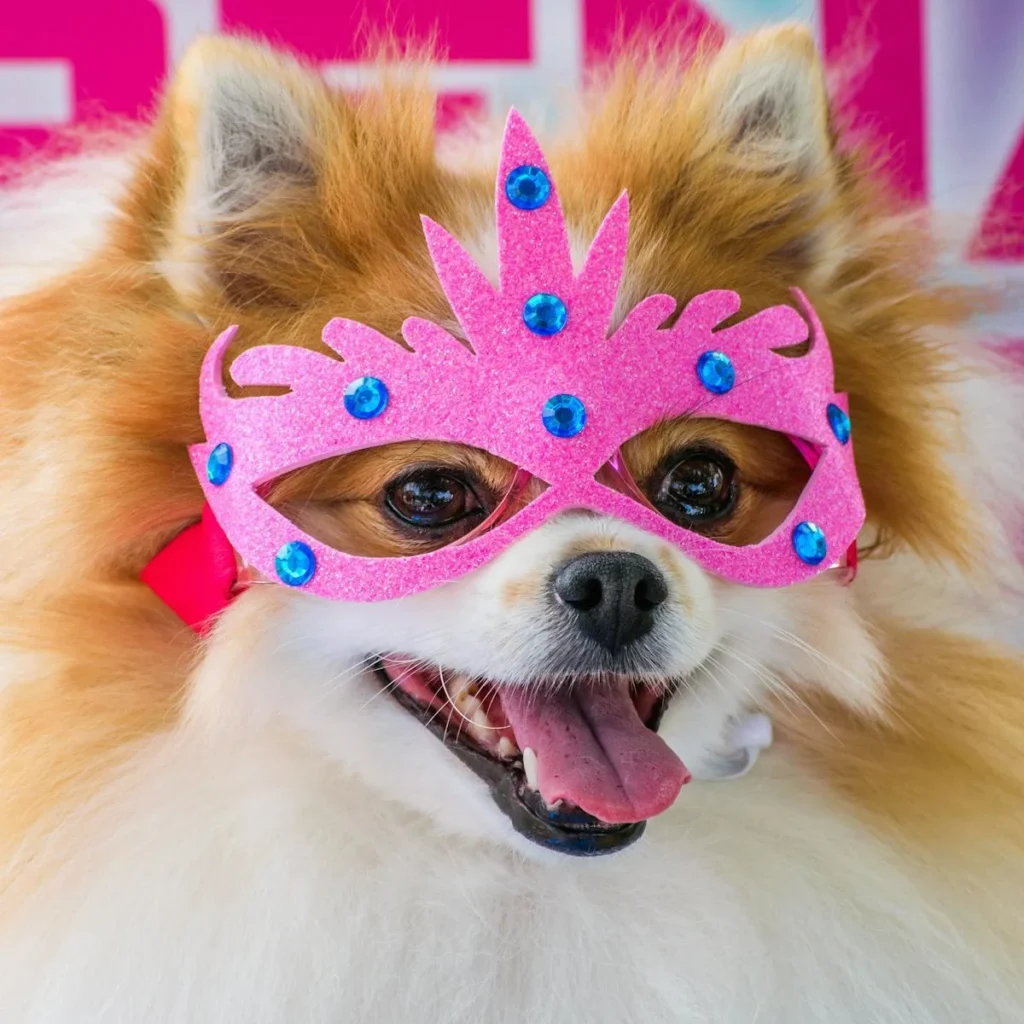 carnaval-e-pets:-saiba-porque-a-folia-pode-causar-danos-a-saude-e-ao-bem-estar-do-seu-cao