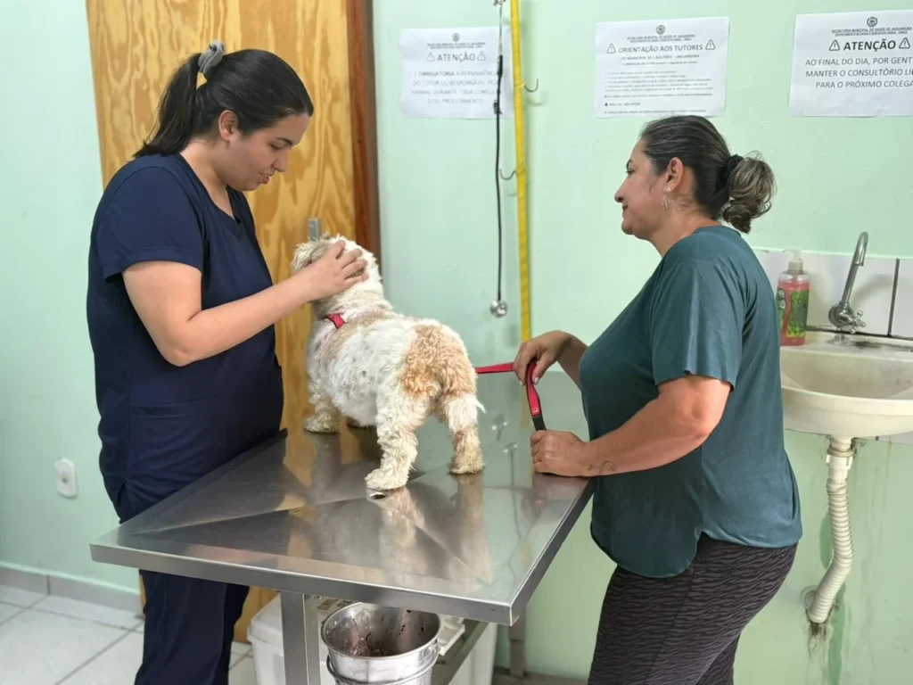 BEM-ESTAR ANIMAL REGISTRA AUMENTO NO ATENDIMENTO EM JAGUARIÚNA bem-estar-animal-registra-aumento-no-atendimento-em-jaguariuna