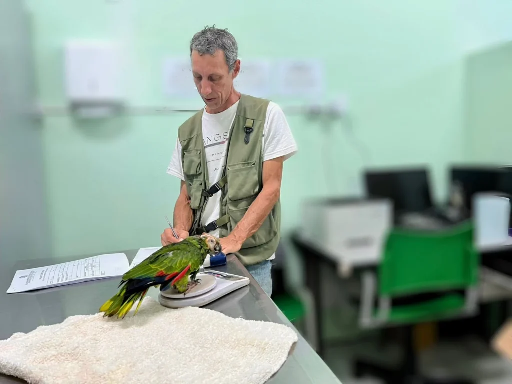 jaguariuna-oferece-atendimento-veterinario-gratuito-a-pets-nao-convencionais