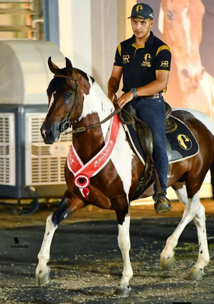 Cavaleiros de Jaguariúna conquistam títulos na Expo Nacional do Cavalo Mangalarga cavaleiros-de-jaguariuna-conquistam-titulos-na-expo-nacional-do-cavalo-mangalarga