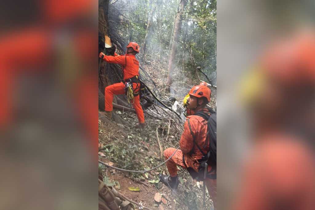 Saiba quem são as 4 vítimas de queda de helicóptero no Rio de Janeiro saiba-quem-sao-as-4-vitimas-de-queda-de-helicoptero-no-rio-de-janeiro
