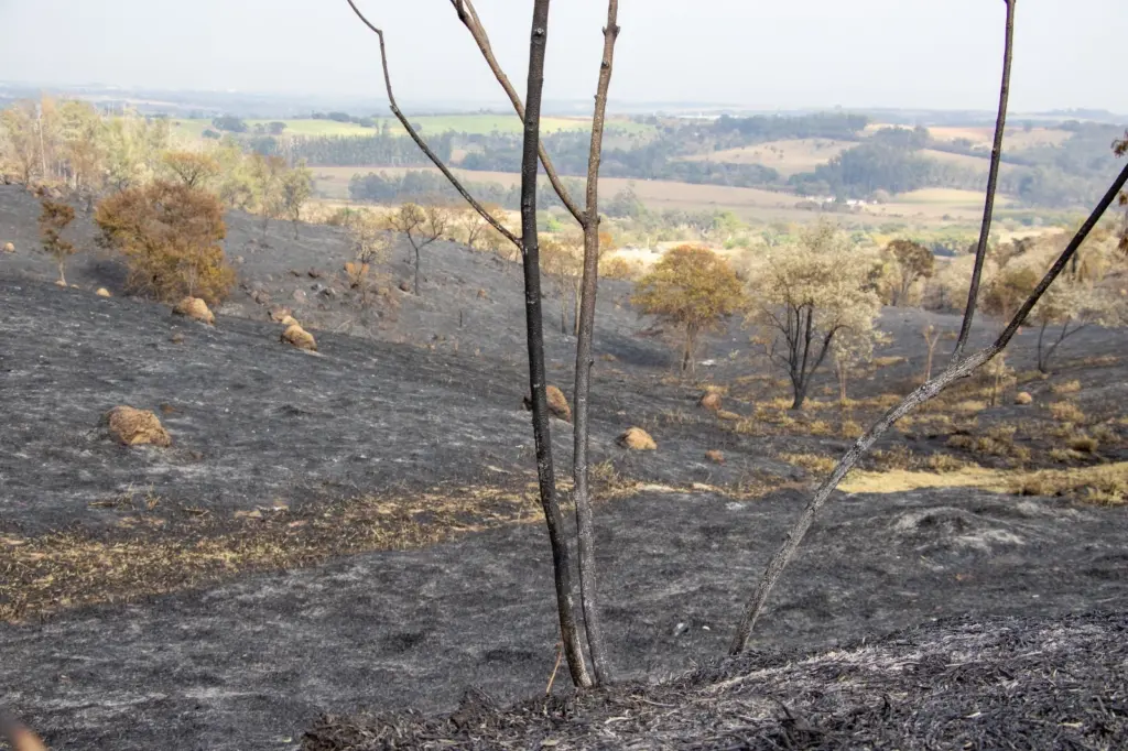 Jaguariúna proporciona curso grátis de prevenção e enfrentamento a incêndios no campo jaguariuna-oferece-curso-gratuito-de-prevencao-e-combate-a-incendios-no-campo